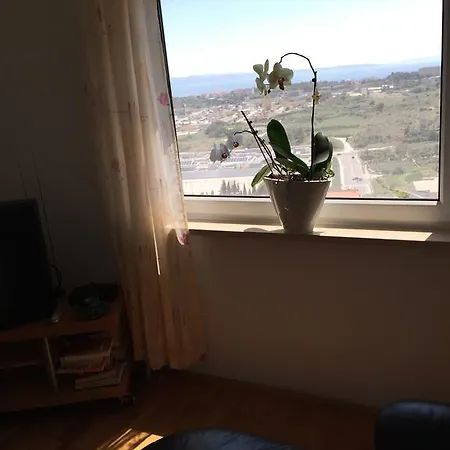 Nasi Apartment